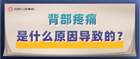 背部疼痛是什么原因导致的？